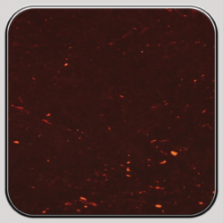 celluloid brown tortoise/white/black/white 4ply .090 (2.3mm) thick, gloss finish celluloid brown tortoise/white/black/white 4ply .090 (2.3mm) thick, gloss finish